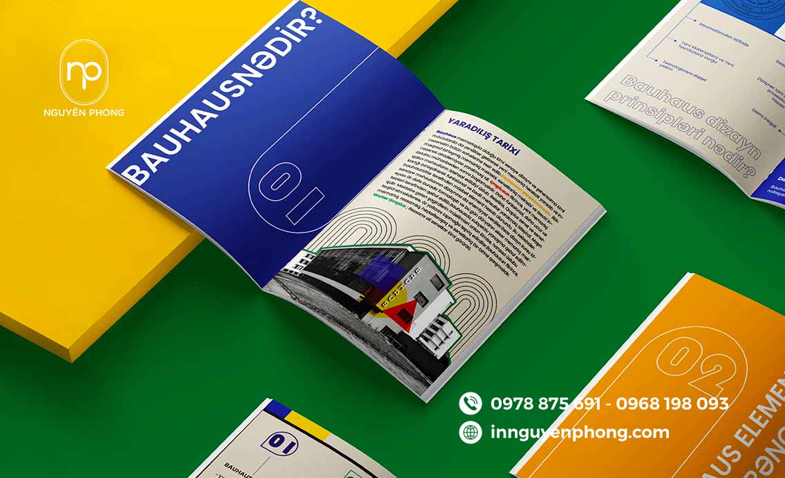 Thiết kế catalogue độc lạ, sáng tạo 